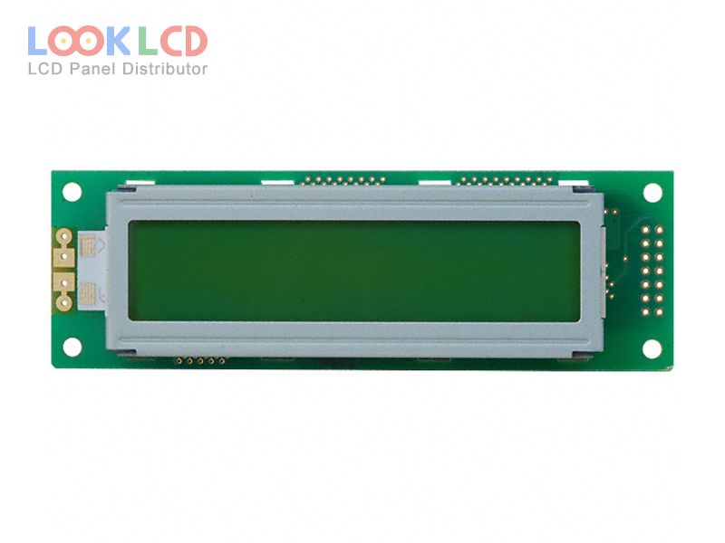 DMC-20261NY-LY-CCE-CMN